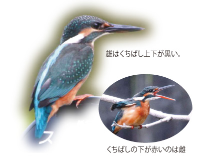 さぁはじめよう！