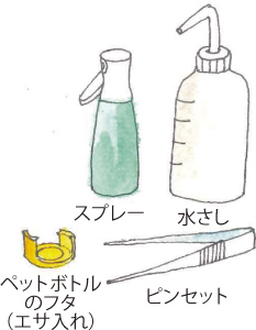 ダンゴムシ