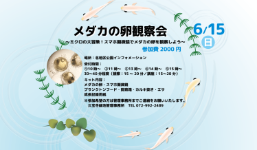メダカの卵観察会 ～ミクロの大冒険！スマホ顕微鏡でメダカの卵を観察しよう～