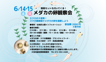 メダカの卵観察会 ～ミクロの大冒険！スマホ顕微鏡でメダカの卵を観察しよう～