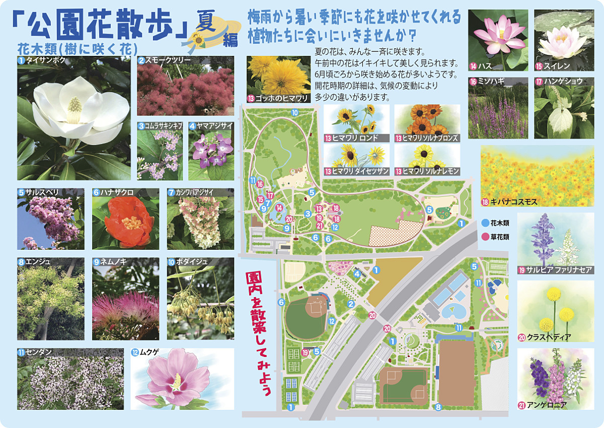 公園花散歩マップ図