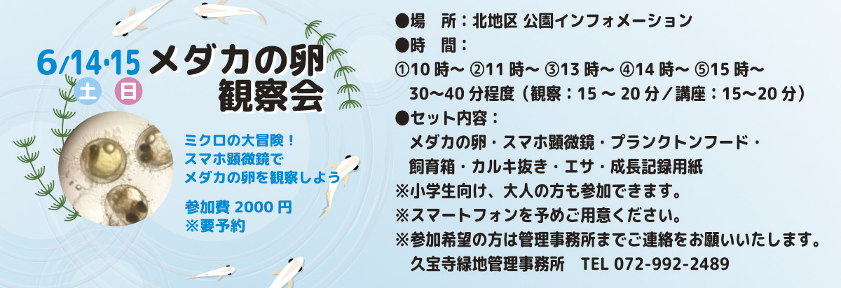 メダカの卵観察会 チラシイメージ