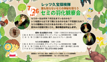 セミの羽化観察会チラシ