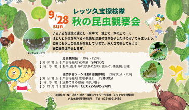 秋の昆虫観察会チラシ