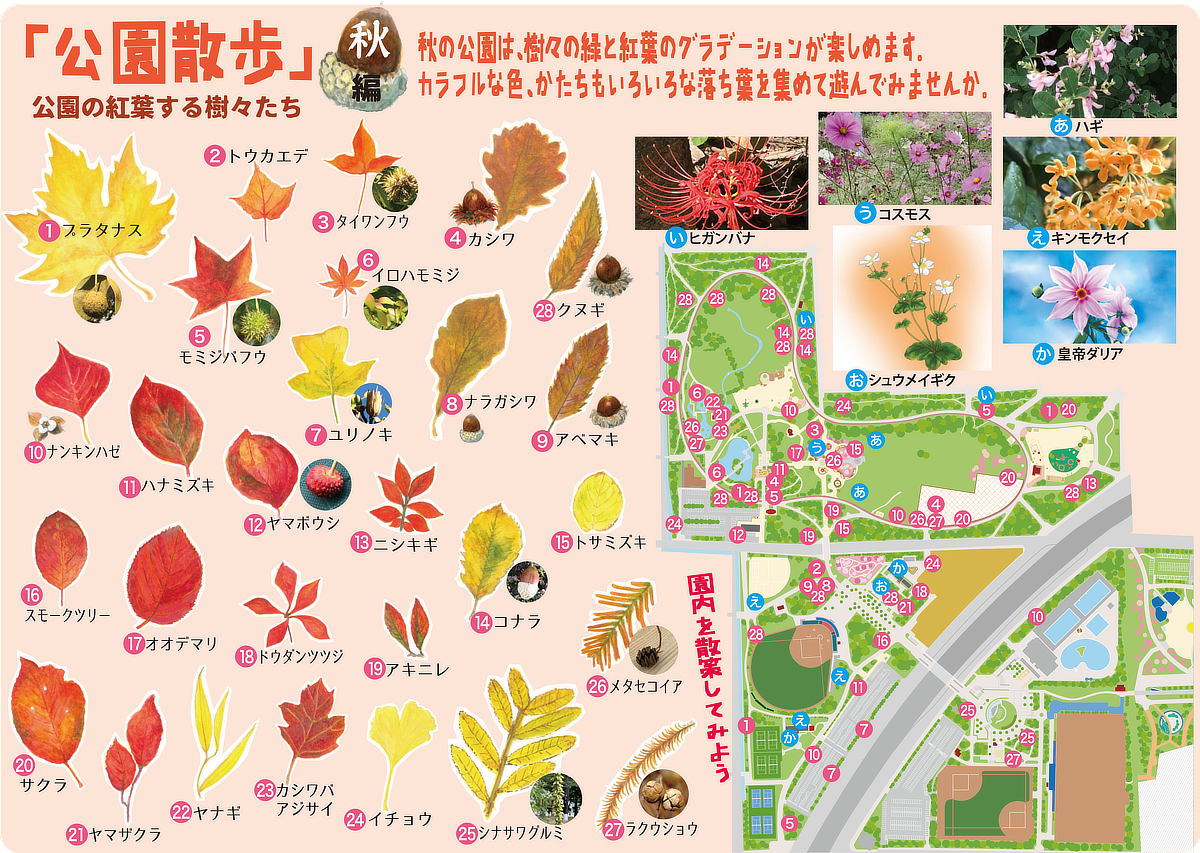 園内の紅葉、秋の花のマップ