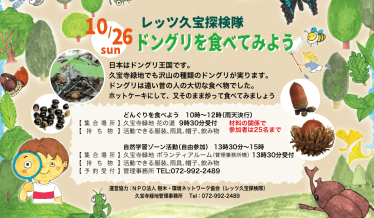 レッツ久宝探検隊「ドングリを食べてみよう」チラシ