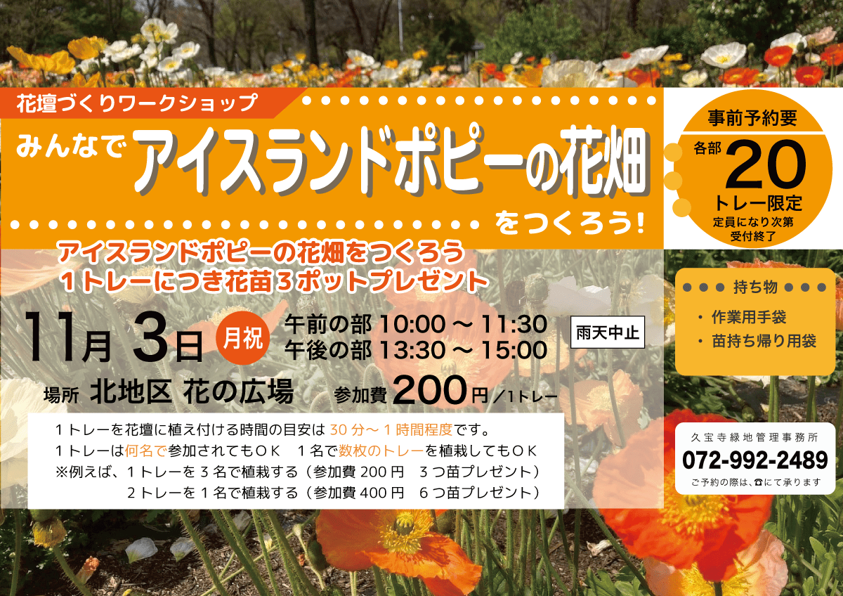 みんなでアイスランドポピーの花畑をつくろう!チラシ