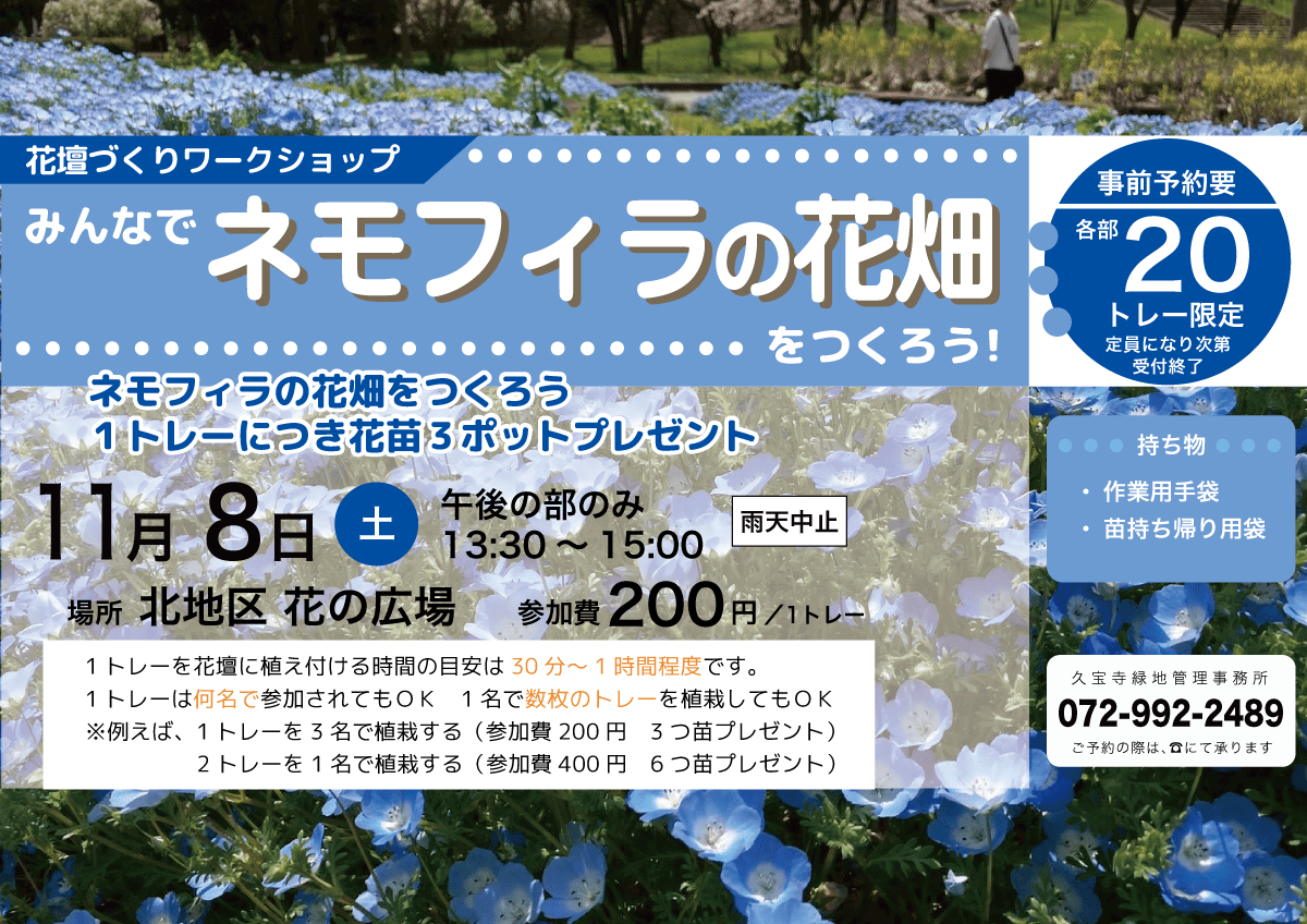 みんなでネモフィラの花畑をつくろう!チラシ