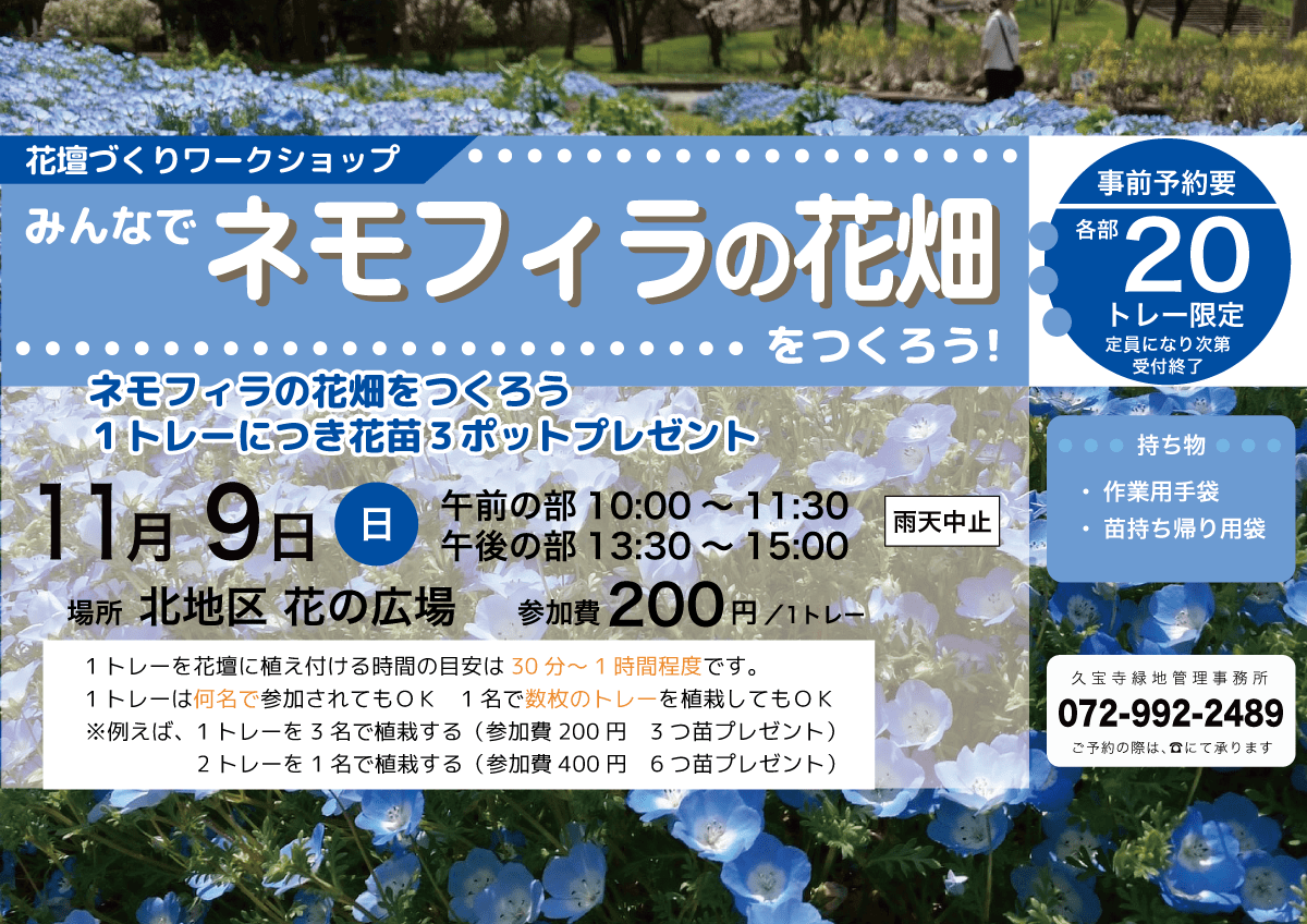 みんなでネモフィラの花畑をつくろう!チラシ