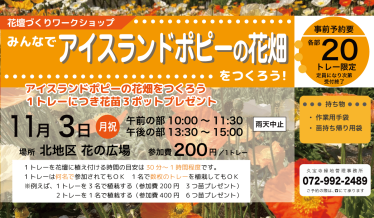 みんなでアイスランドポピーの花畑をつくろう!チラシ