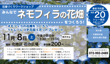 みんなでネモフィラの花畑をつくろう!チラシ