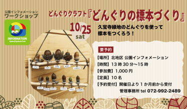 どんぐりクラフト『どんぐりの標本づくり』チラシ画像