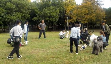 大小さまざまなかわいいワンコたちと飼い主さんたち