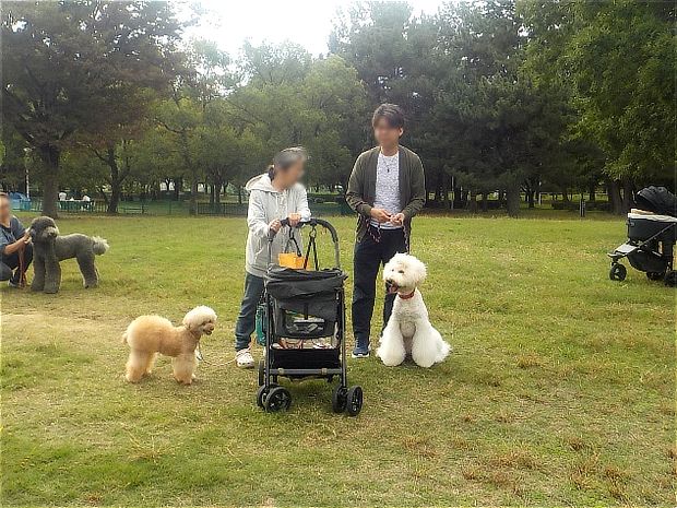 ワンコたちとその飼い主さん