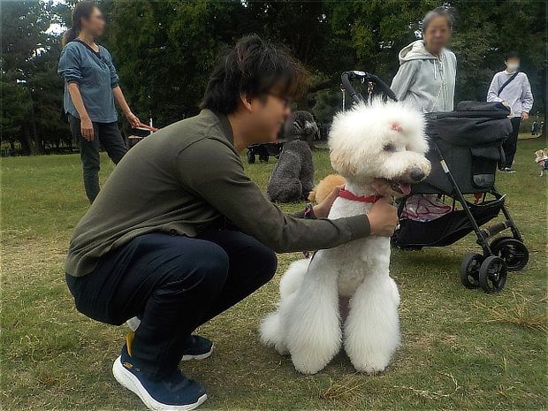 リードの根元を持ち低い体勢を取らせないようにする