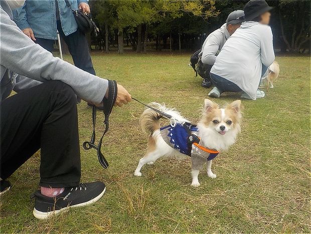 ワンコと飼い主さん