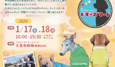 ドギーズマートチラシ表面