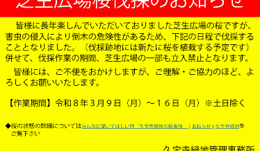 芝生広場桜伐採のお知らせチラシ