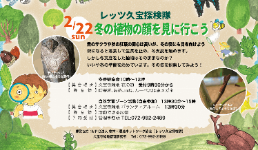 レッツ久宝探検隊「冬の植物の顔を見に行こう」チラシ