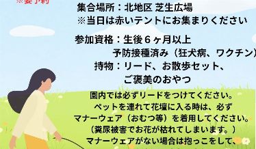 ドッグスクールチラシ