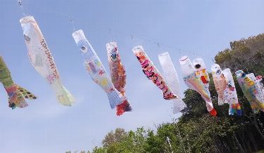 抑揚されたこいのぼり