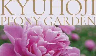 シャクヤク園チラシ表面イメージ