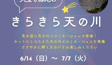 きらきら天の川チラシ