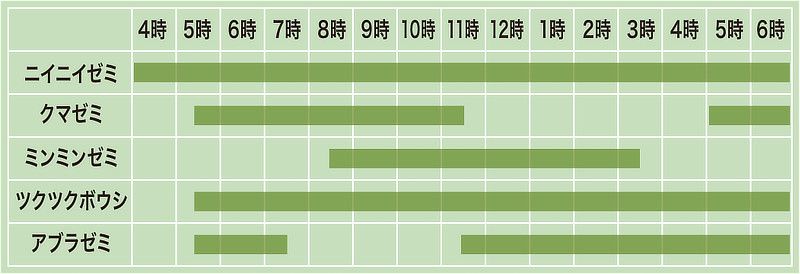 久宝寺緑地にいる、ニイニイゼミ、クマゼミ、ミンミンゼミ、ツクツクボウシ、アブラゼミのセミが鳴く時間帯（午前4時〜午後6時）
