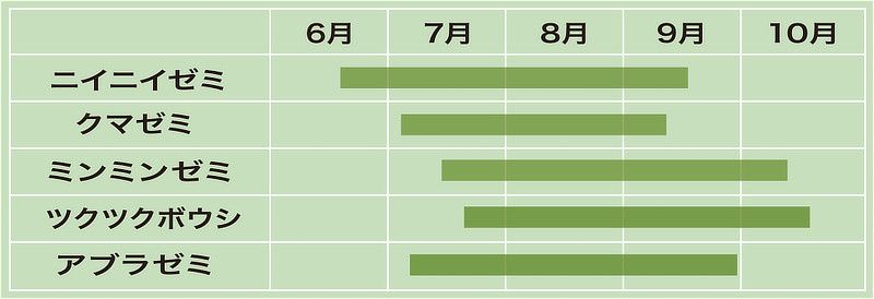 久宝寺緑地にいる、ニイニイゼミ、クマゼミ、ミンミンゼミ、ツクツクボウシ、アブラゼミのセミが鳴く時期（6月〜10月）を表で表しています。