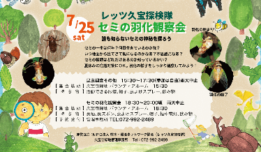 レッツ久宝探検隊「セミの羽化観察会」チラシ