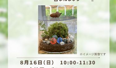 みどり塾「苔テラリウム〜苔まんじゅう〜」　チラシ