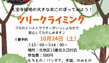 ツリークライミング体験のチラシ画像