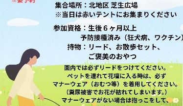 ドッグスクールチラシ