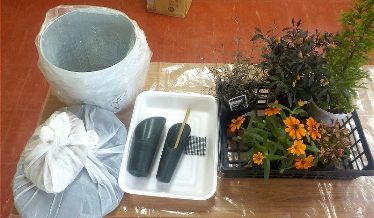 今回の材料　5種類の花（観賞用トウガラシ、ジニアプロフュージョン、アキランサス、ゴールドクレスト、コロキアクレスト）
